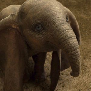 Meet your Posher, Zanovia